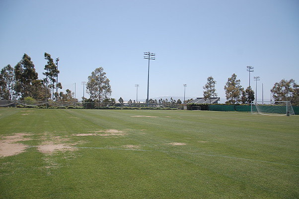 DSC 0071