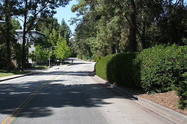 Circle Drive East.UCLA Road