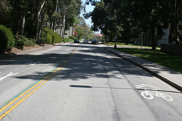 Charles Young Drive South.UCLA