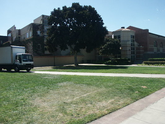 UCLA&gt;Wilson.Plaza.28