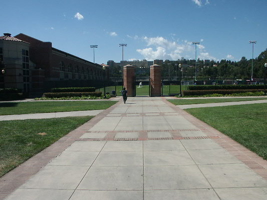 UCLA>Wilson.Plaza.29 UCLA>Wilson.Plaza.29