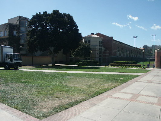 UCLA&gt;Wilson.Plaza.27