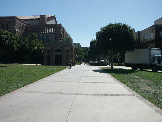 UCLA&gt;Wilson.Plaza.26