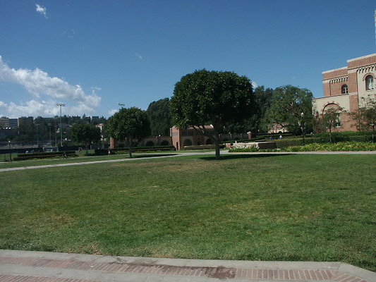 UCLA&gt;Wilson.Plaza.19