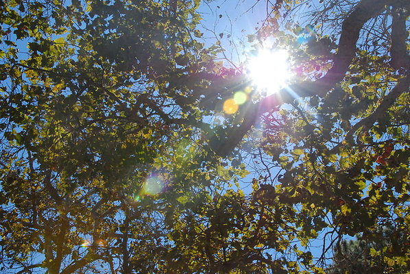 UCLA.Exts.15 UCLA.Exts.15