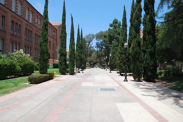 UCLA.Exts.19