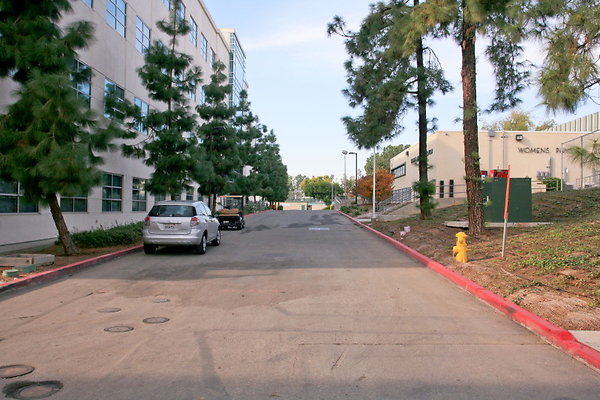 Road by Womens Softball Field 0150 1