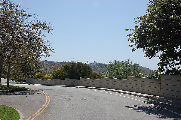 DSC 0313