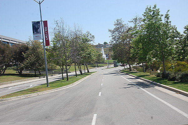 DSC 0317