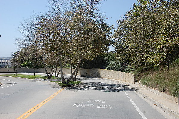 DSC 0309