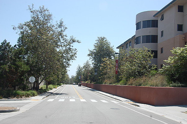 DSC 0299