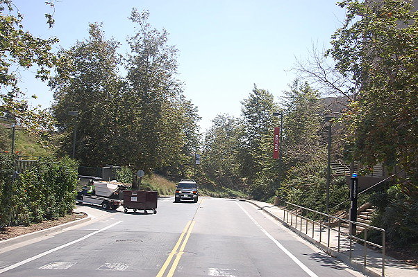 DSC 0306