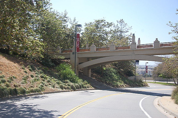 DSC 0308