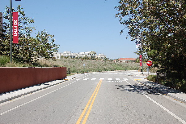 DSC 0337
