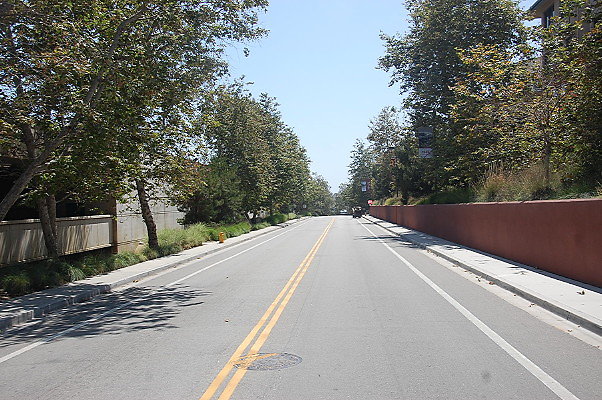 DSC 0300