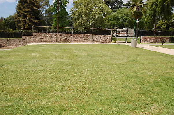 DSC 0333