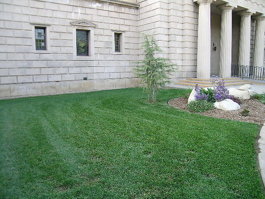 DSCN3017