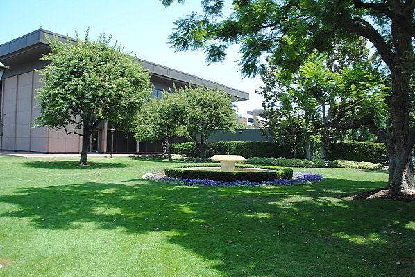 DSC 0135