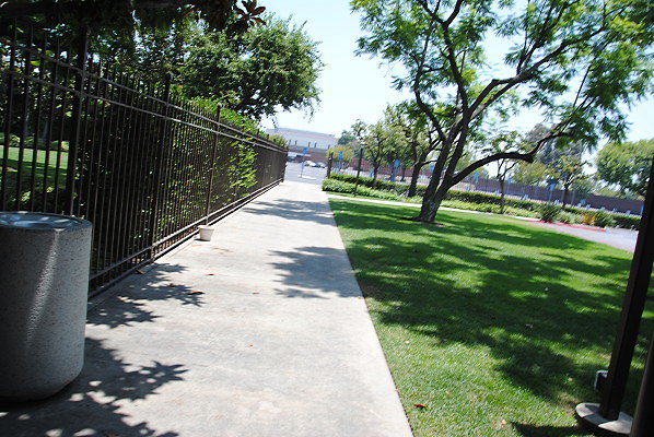 DSC 0141