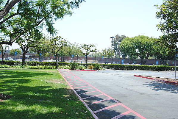 DSC 0126