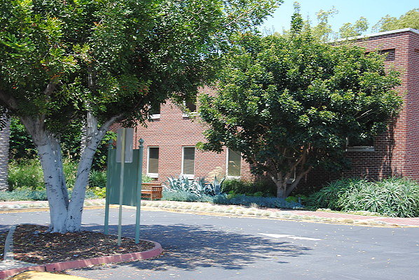 DSC 0297