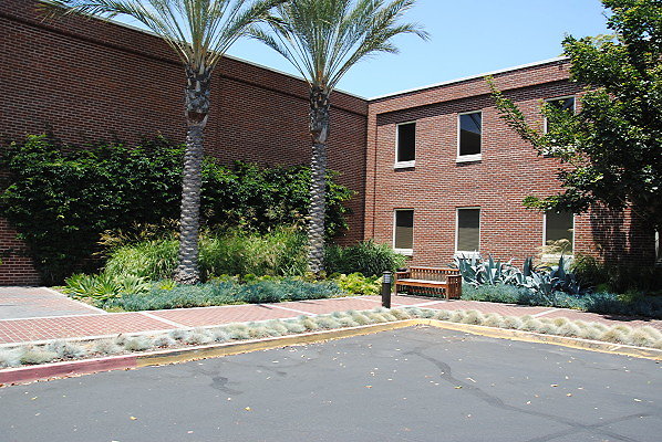 DSC 0310