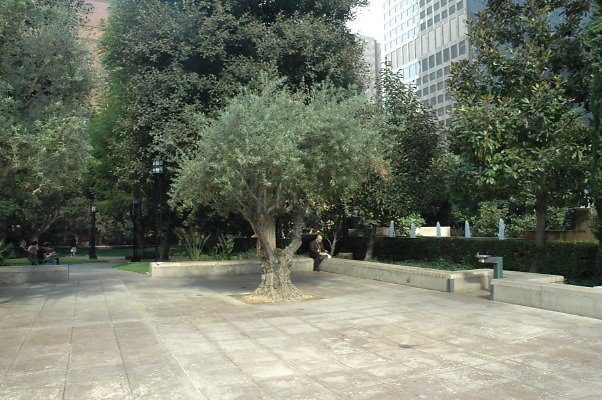 DSC 0618