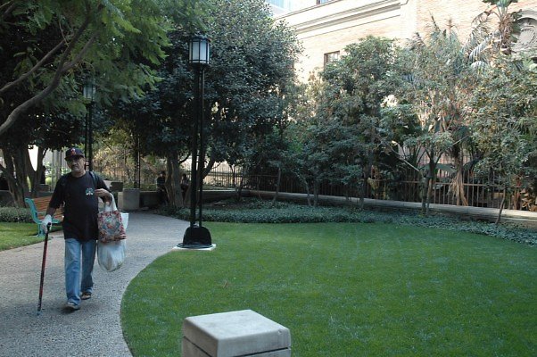 DSC 0610
