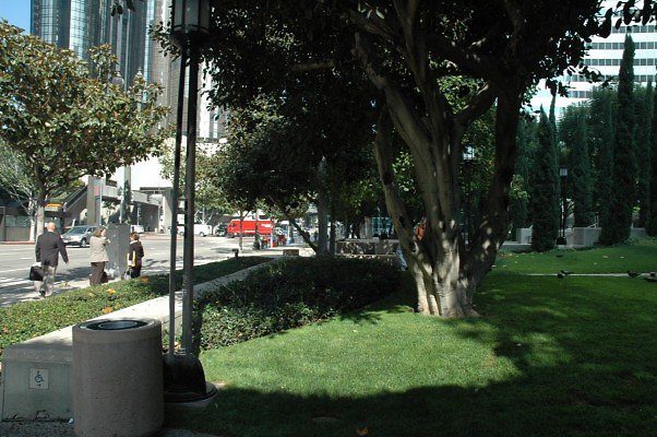 DSC 0598