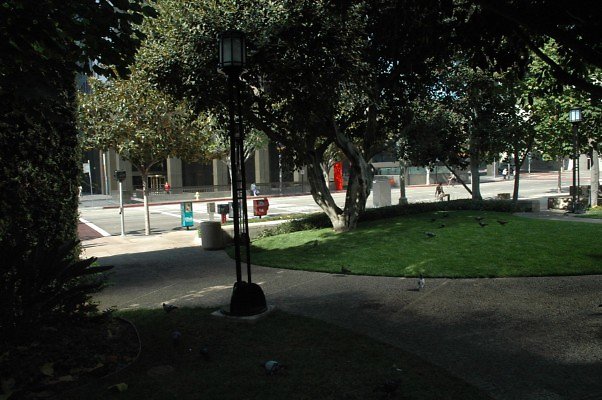 DSC 0603