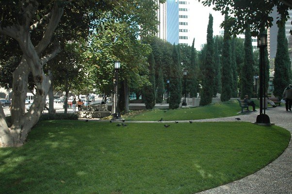 DSC 0600