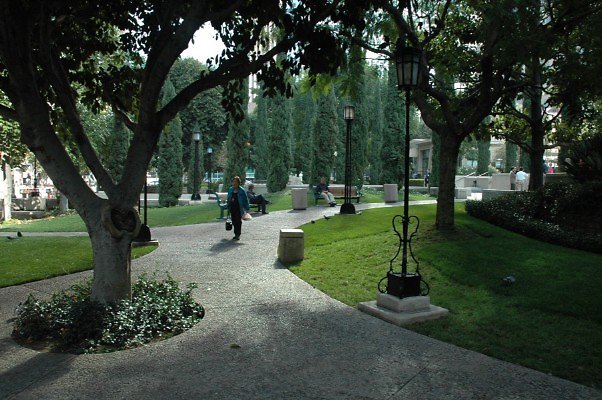 DSC 0604