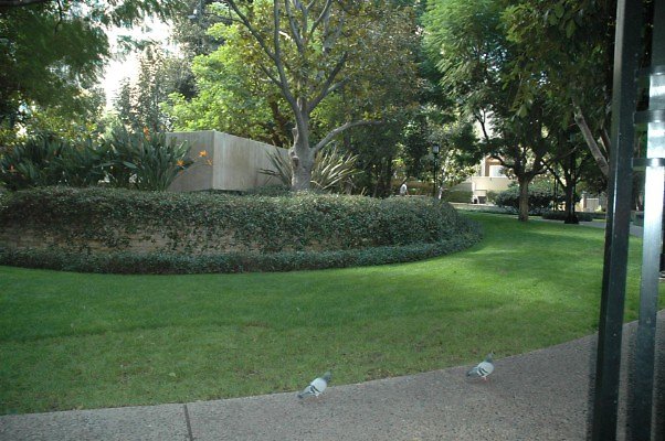 DSC 0605