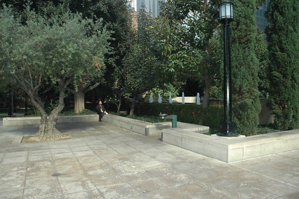 DSC 0631