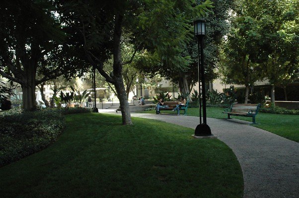 DSC 0608