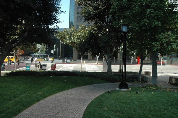 DSC 0583