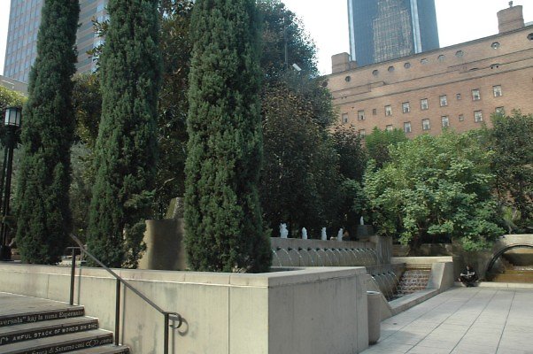 DSC 0575