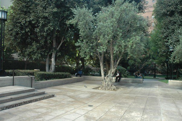 DSC 0627