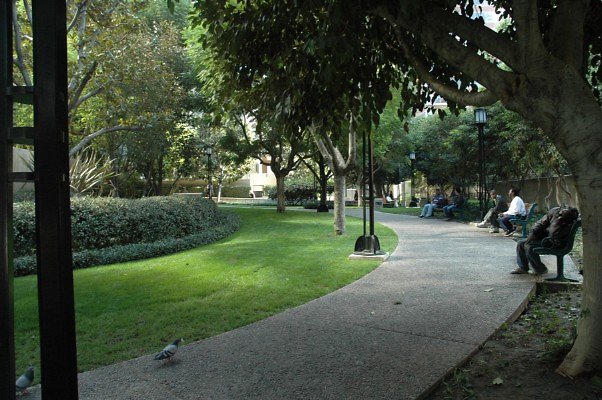 DSC 0606