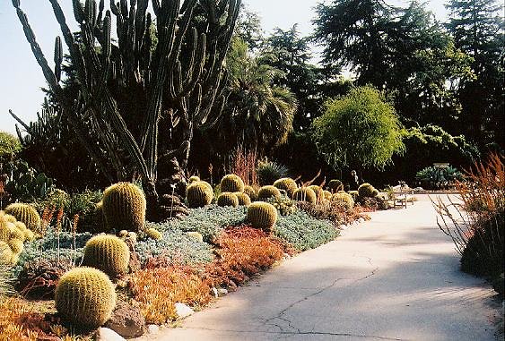 Desert Garden.H030601-6A