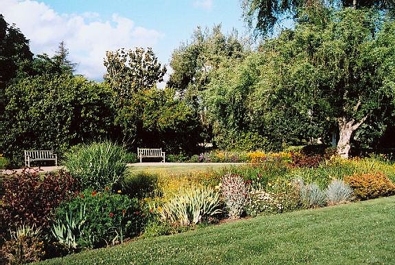 Shakespeare Garden.H050403-36