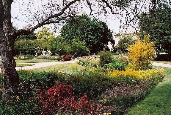 Shakespeare Garden.H050401-33