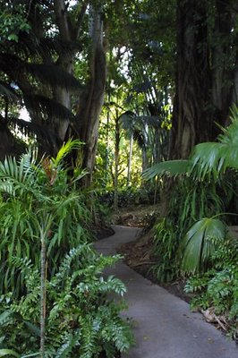 Jungle.0510 8306-100