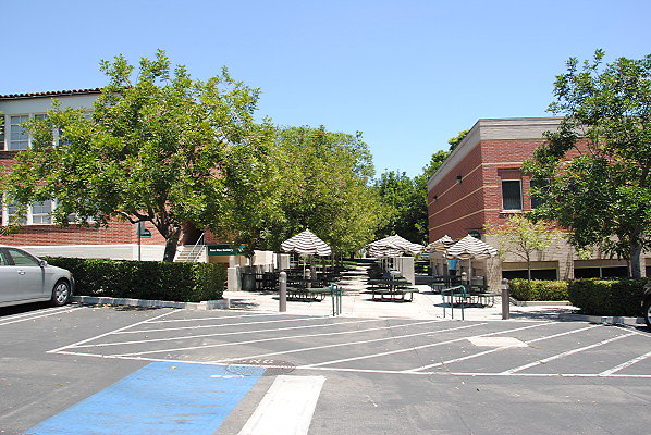 DSC 0354