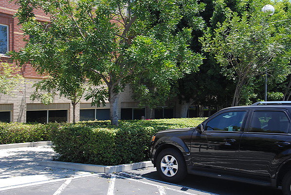 DSC 0360
