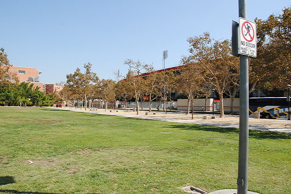 DSC 0022