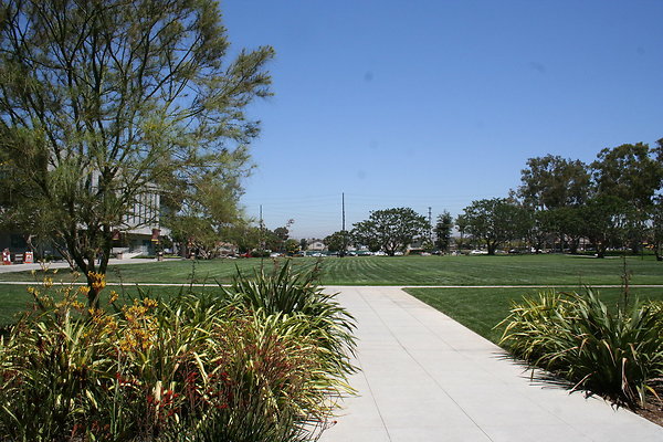 IMG 0598