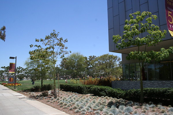 IMG 0603