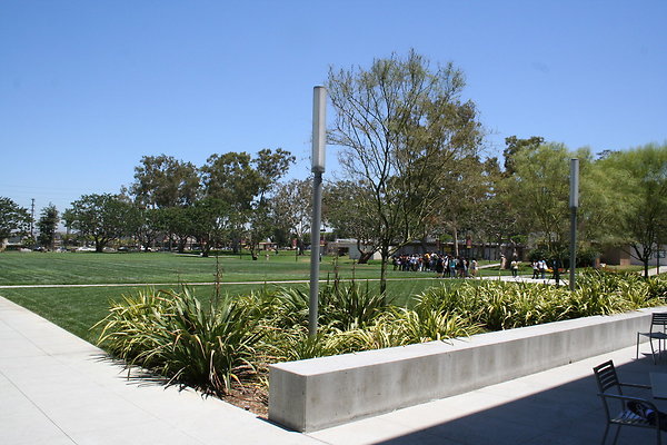 IMG 0599