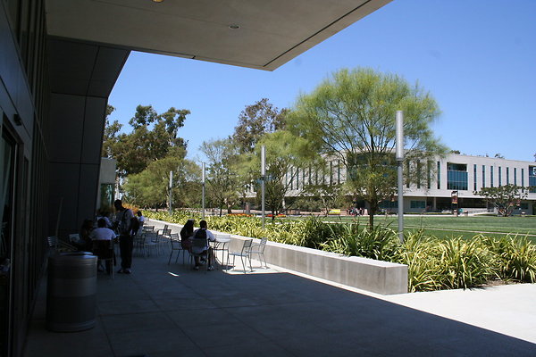 IMG 0593